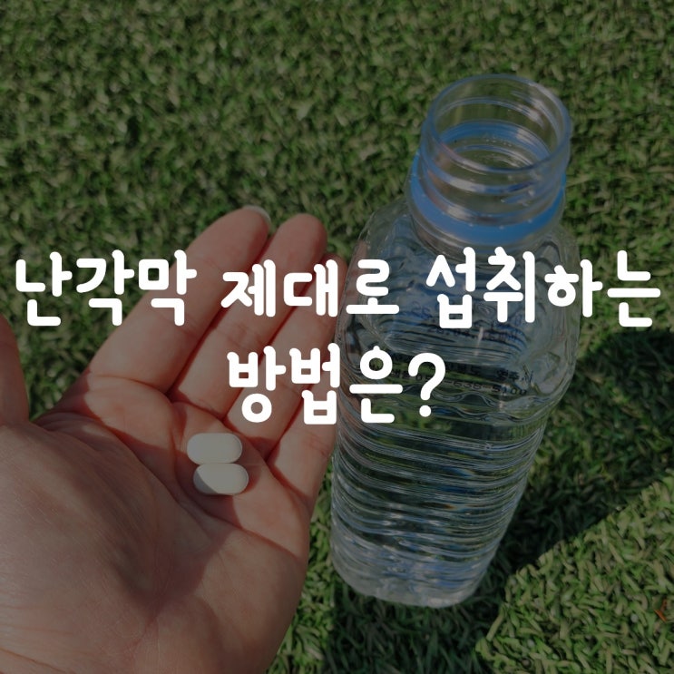  난각막 제대로 섭취하는 방법은?