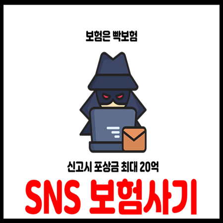  SNS 보험사기 신고포상금 최대 20억