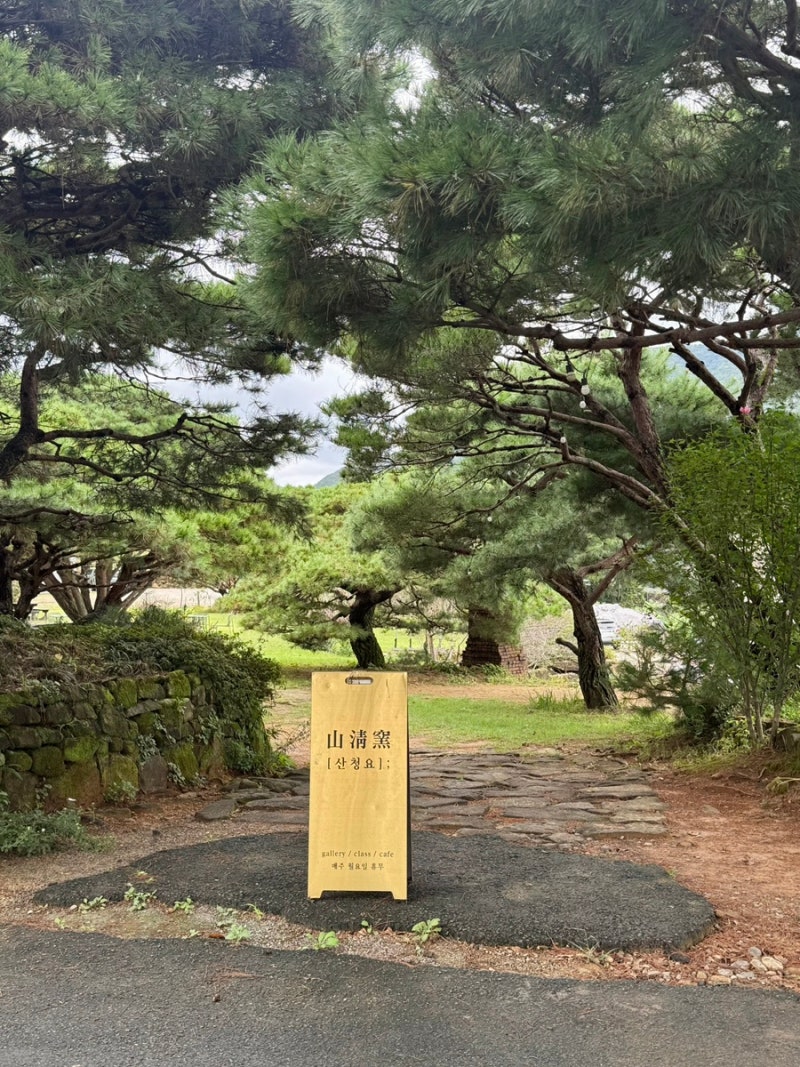 사진 5