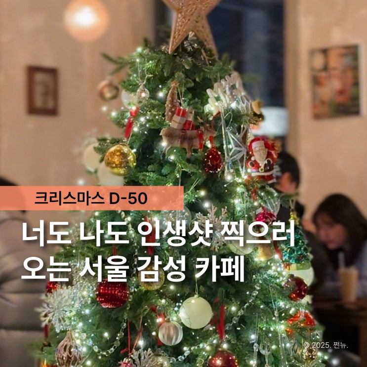  벌써 D-50 서울 크리스마스트리 카페 이 3곳만 가도 성공!