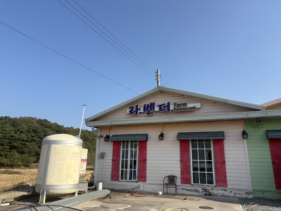 라벤더팜 사진 1