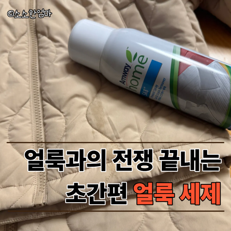 30대 주부들 사이에서 입소문난 그 세제, "암웨이 프리워시 스프레이 세제"
