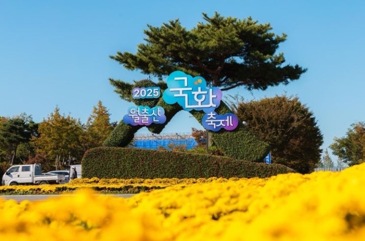  전남 가볼만한곳 영암월출산국화축제 2025! 주차·가수·개화 꿀팁 대방출!