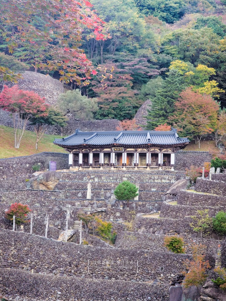  경남 하동 삼성궁 단풍 보러 다녀오다 입장료 주차장 단풍시기
