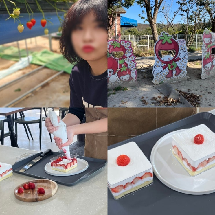  남양주 아이와 가볼만한곳 물의정원 berry365 딸기농장 체험 이색 실내 데이트