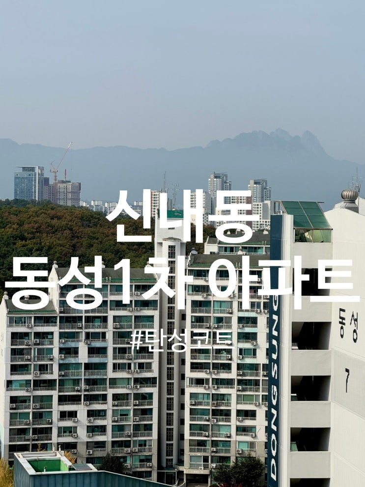  신내동 동성 1차 아파트 탄성코트 시공(달빛탄성)