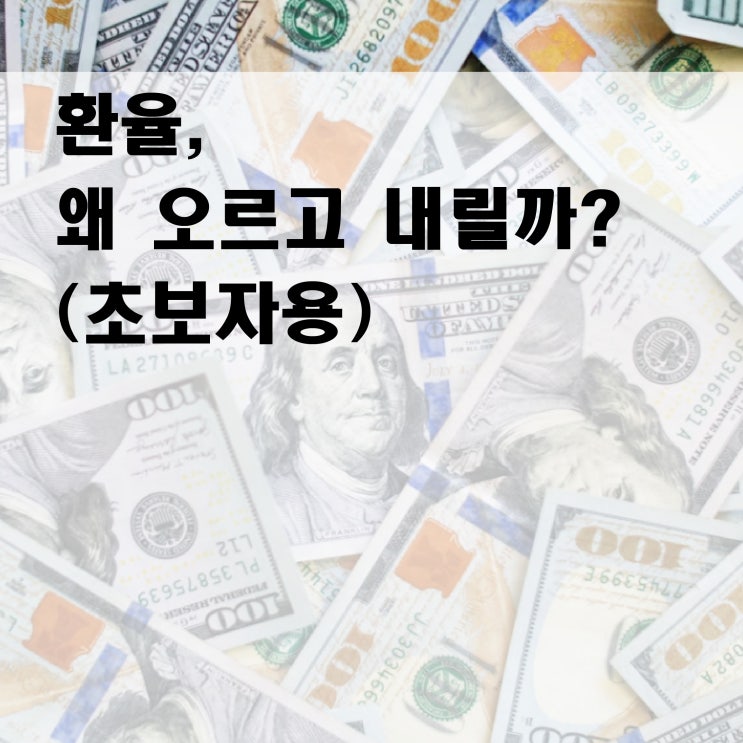  오늘의 환율, 왜 오르고 내릴까? 이유(초보자용 쉬운 설명)