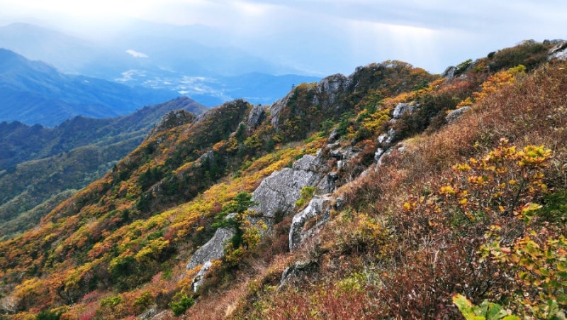 사진 3