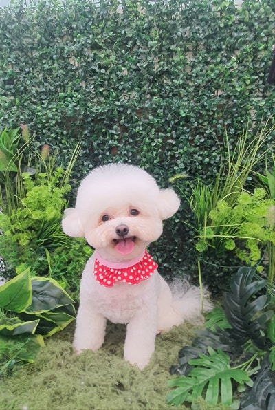 사진 8