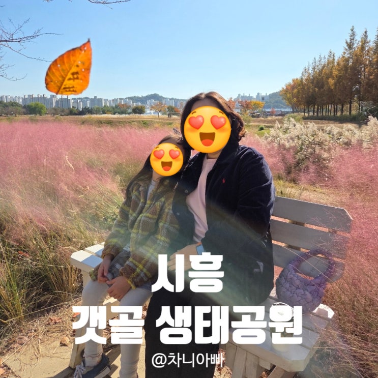  가을에 꼭 가야 할 시흥 갯골 생태공원 아이와 방문 후기