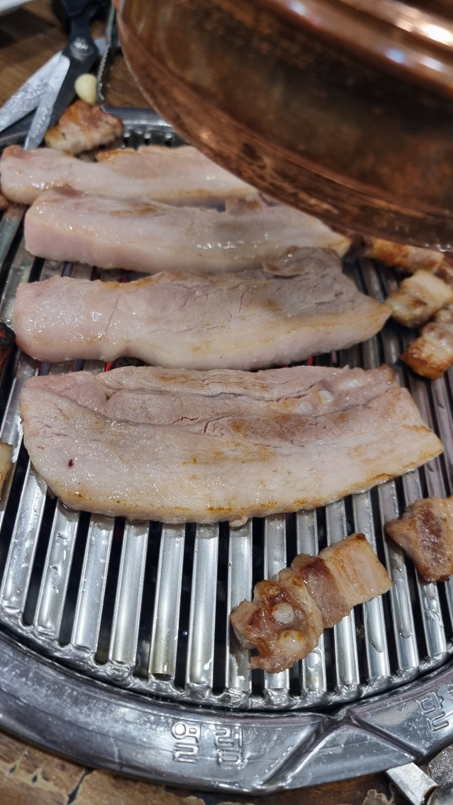 코기조은집 사진 4