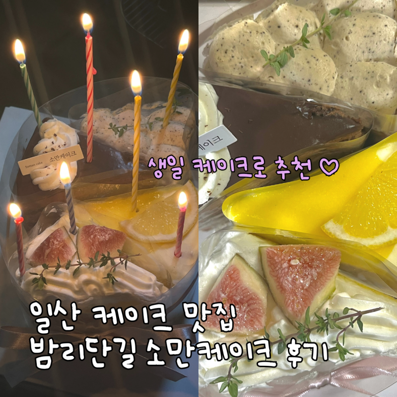 일산 케이크 맛집 | 소만 케이크 : 조각케이크 추천 ❣️| 밤리단길 디저트 맛집 ft. 생일 모....