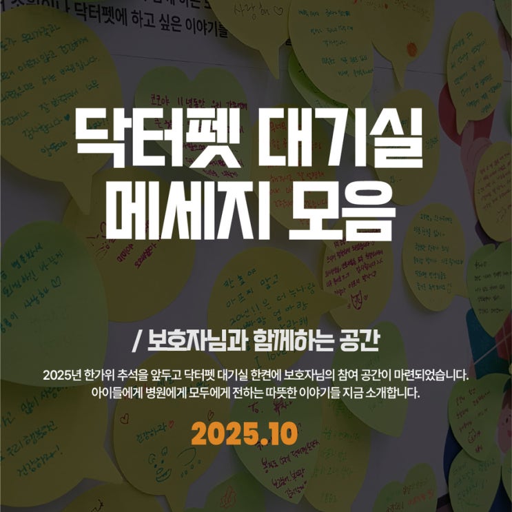  닥터펫동물의료센터 대기실 담벼락 메세지 모음 2025년 10월 부산 서면 24시 동물병원