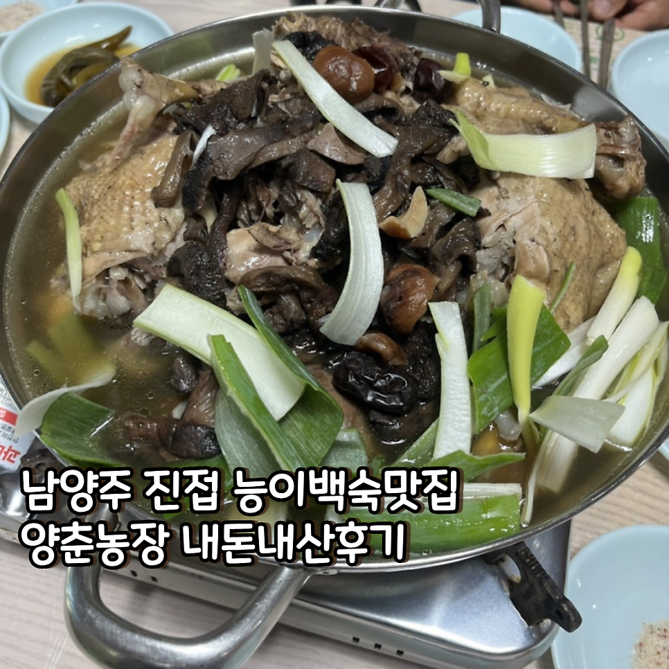 양춘농장 사진 1