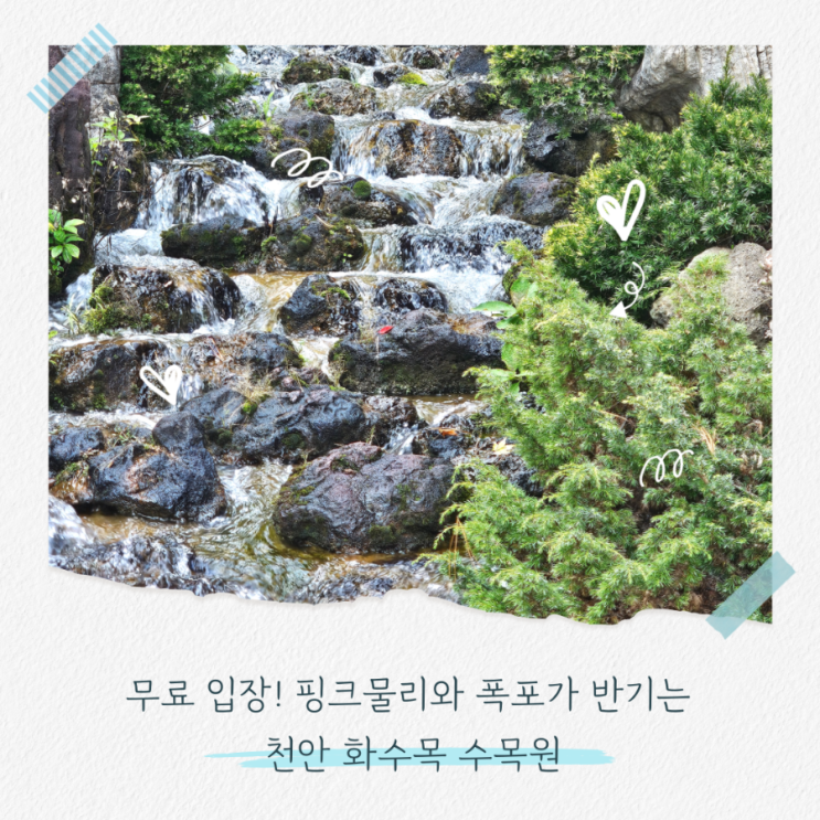  가을 천안 가볼만한곳 핑크뮬리, 백합, 폭포 풍경까지 만끽할 수 있는  화수목 수목원
