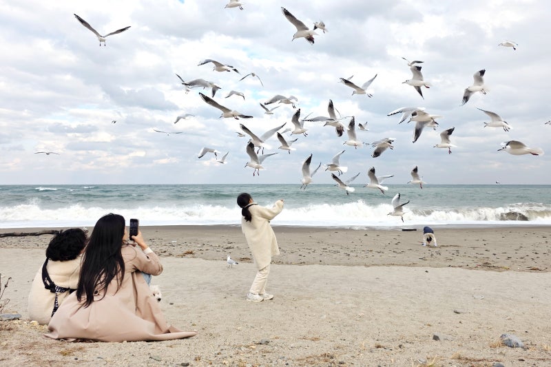 사진 6