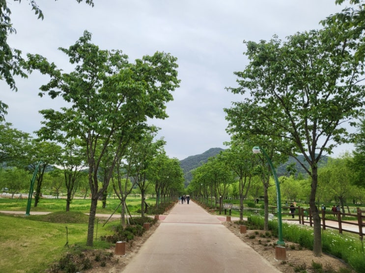  [MBA]연세대 AMBA
