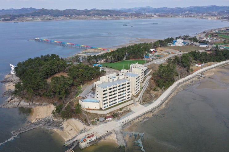  "일하며 힐링한다!"  함평 '블루 워케이션'부터 국화 천 송이 '천간작'까지, 전남 함평군의 가을 관광 총정리
