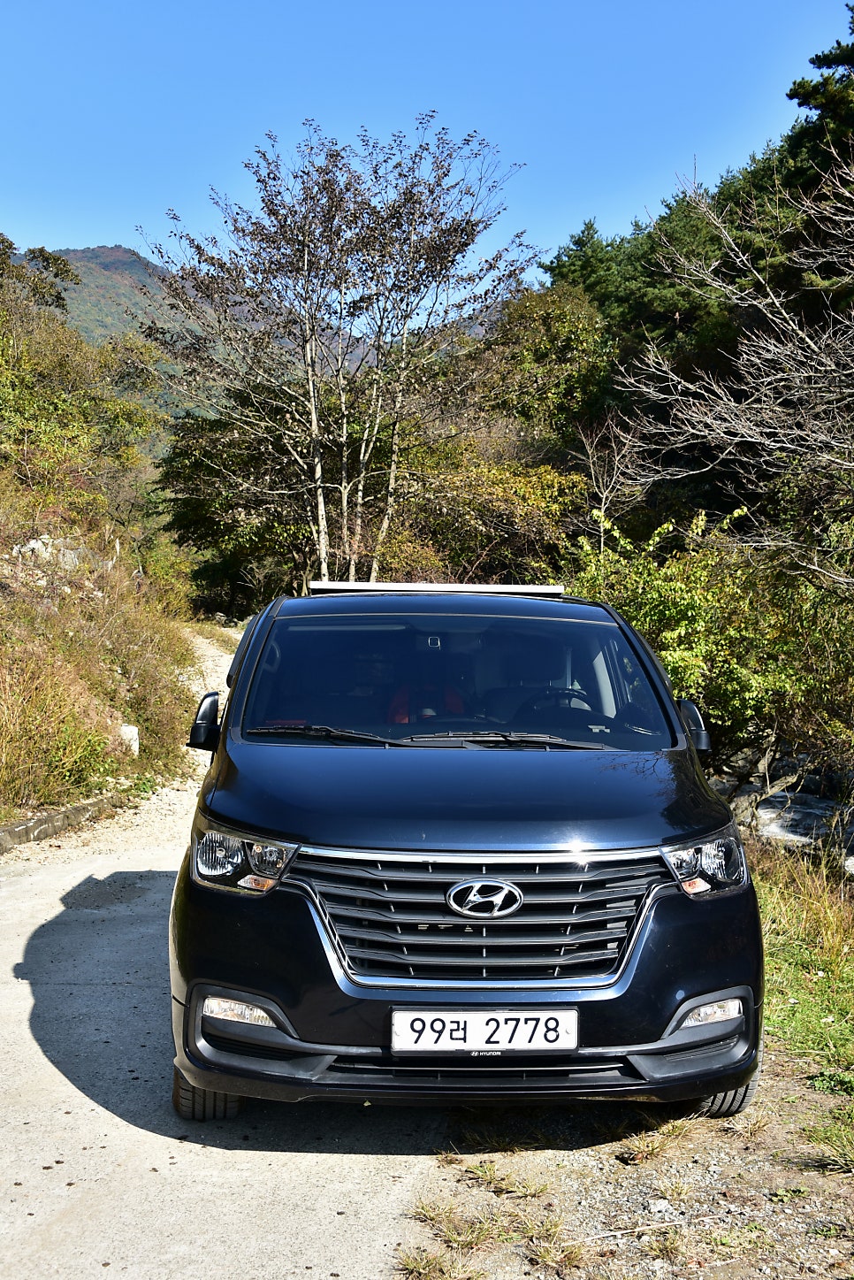 삼나무골 사진 1