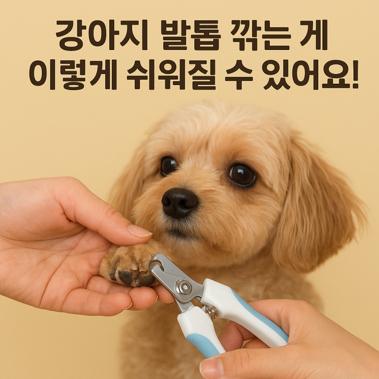  ️ 강아지 발톱 깎기 훈련: 스트레스 없이 깔끔하게!