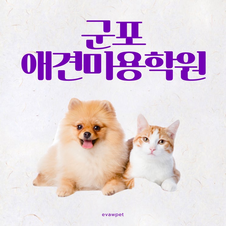  군포애견미용학원 상담 후기