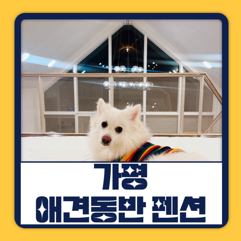 사진 5