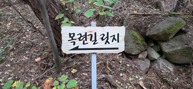 합천 목련길릿지 감암산 병바위릿지