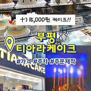 15,000원부터 시작하는 부평역 케이크 맛집 솔직후기 부평 티아라케이크