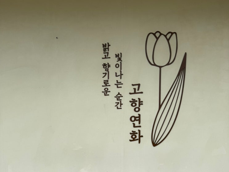  [고향연화 / 부산 기장] 돈까스, 전복리조또, 후토마끼까지 즐기는 기장 연화리 미식의 정석