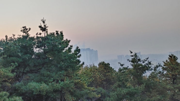 오늘아침, 망현산 정상에서