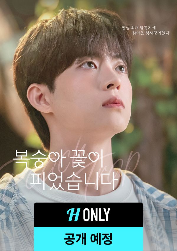 BL드라마, <b>복숭아 꽃이 피었습니다</b> 기대평 - 헤븐리
