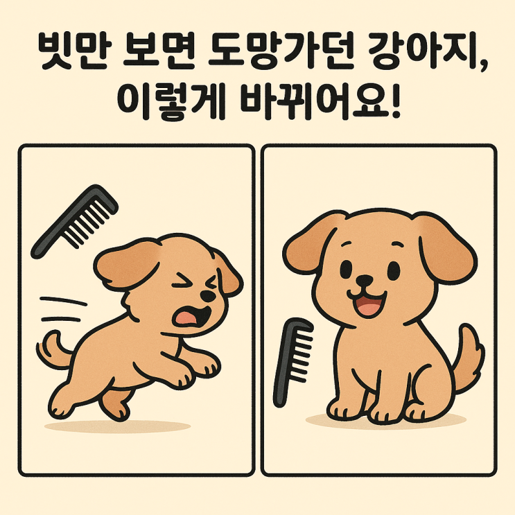   강아지 빗질 훈련법: 털 관리가 쉬워지는 꿀팁
