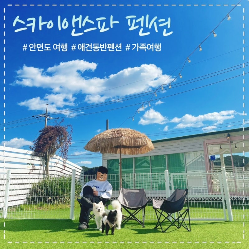 사진 2