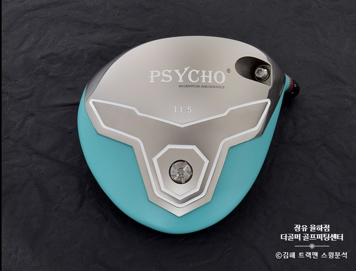  60대 여성 스윙 분석/ PSYCHO 드라이버/몬스타 tour hb 샤프트/창원 골프피팅