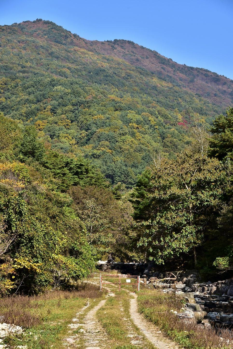 삼나무골 사진 5