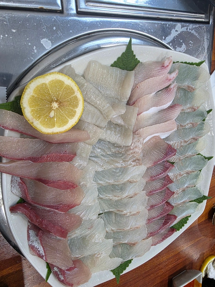 바다의향기 사진 5