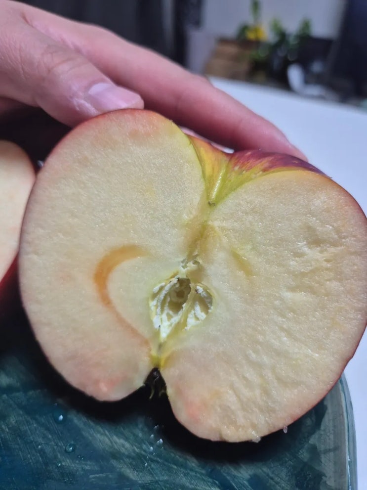  속까지 빨갛게 익히기 참 어려운 엔부사과… 하지만 맛은 합격