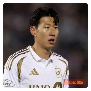 <b>손흥민 MLS 신인상</b> 수상 불발…드레이어에 밀린 이유는?