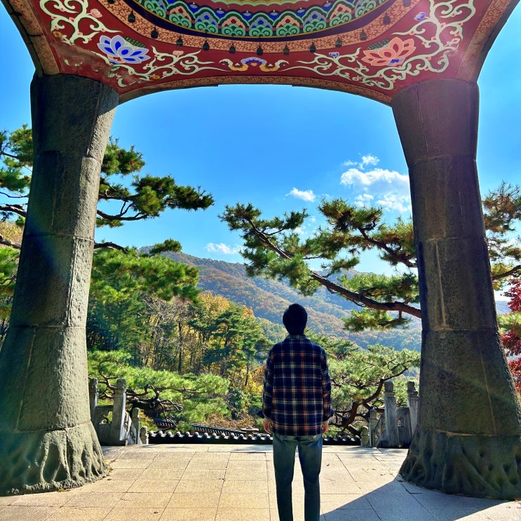  용인 가을 단풍 가볼만한곳 BEST 3 11월 단풍시기 드라이브 피크닉 명소 추천
