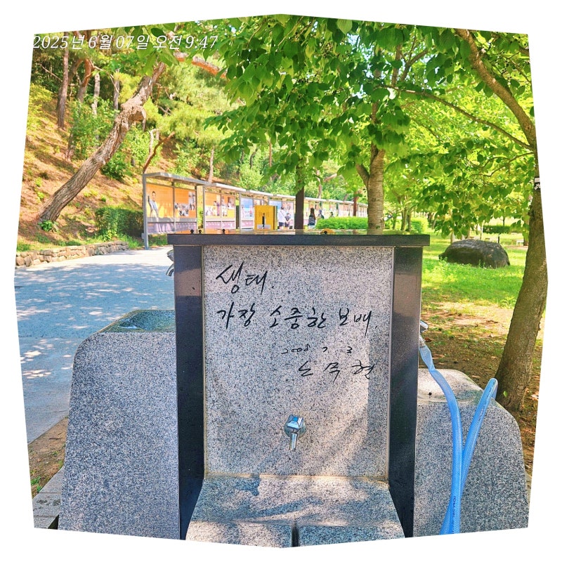 사진 2