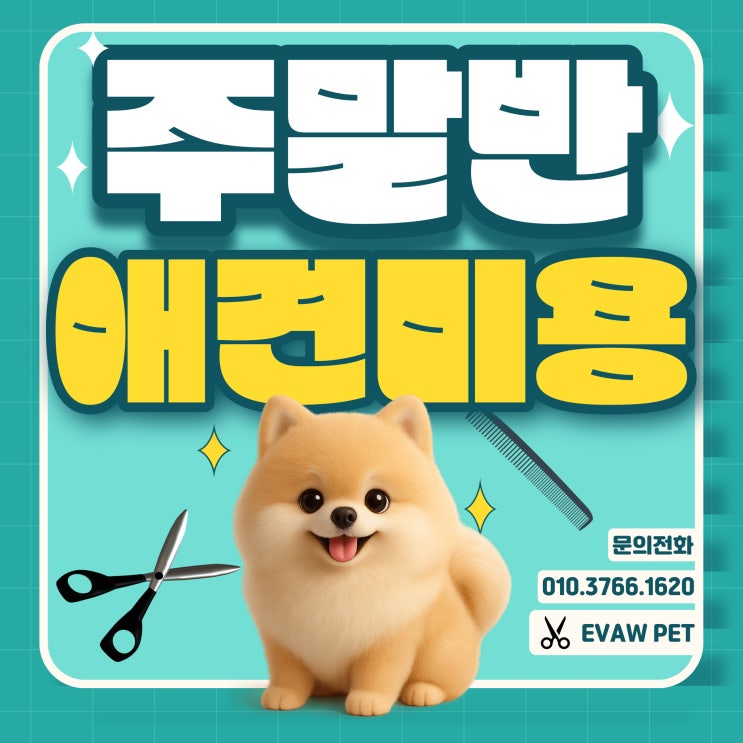  애견미용학원주말반 바쁜 직장인도 가능한 실무 중심 미용교육
