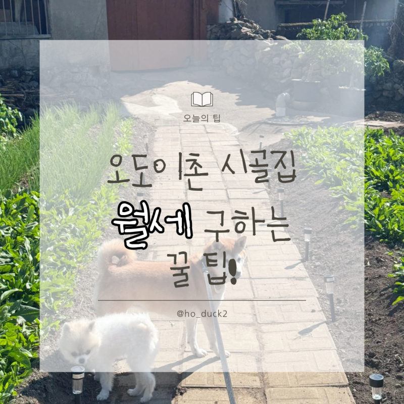 5도 2촌 시골집 월세 임대 알아보는 꿀팁!
