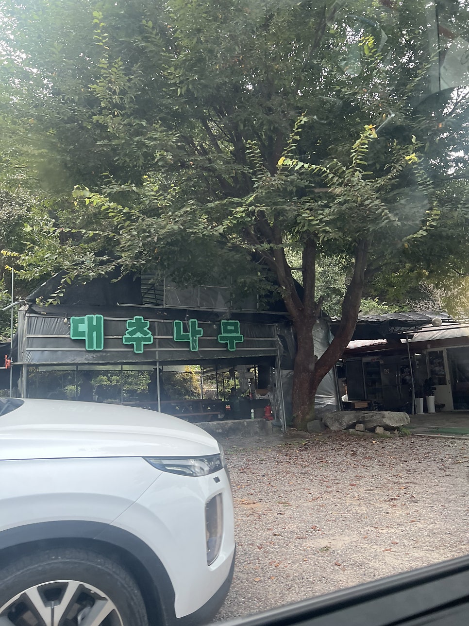 대추나무막국수 사진 3