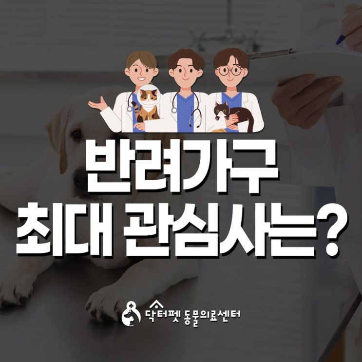  보호자님들의 최대 관심사 1위는? 바로 ㄱㄱㄱㄹ? 부산 동물병원