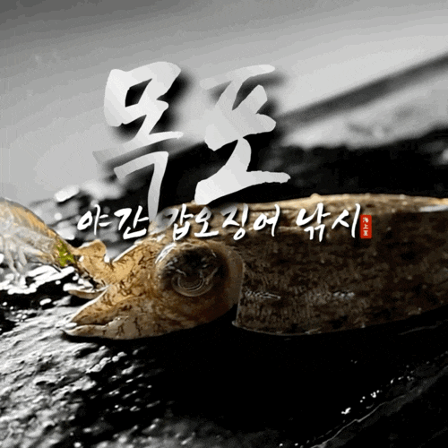  목포 선상 야간 갑오징어배 추천 만재낚시 킹스타호