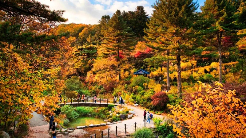 경기도 가평 가을 여행지 추천 아침고요수목원 단풍,국화 가득, 입장료 주차 총정리