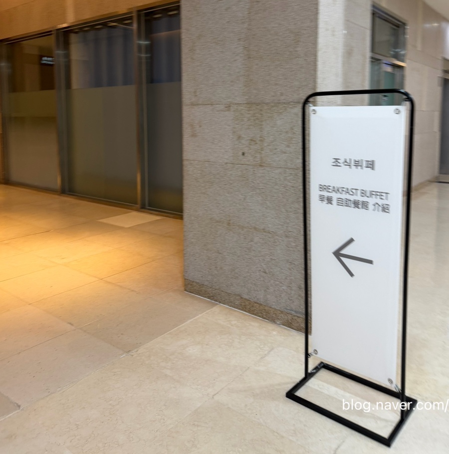 아델리아 사진 3