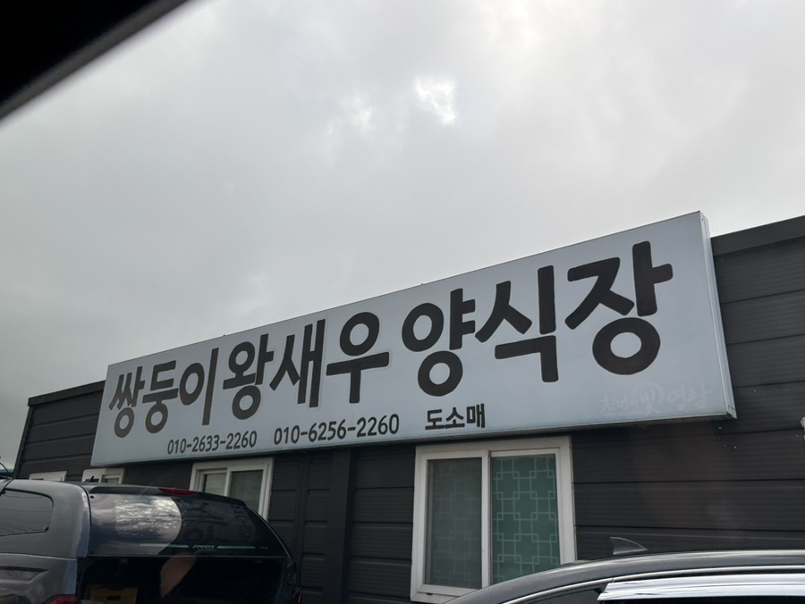 쌍둥이왕새우양식장 사진 2