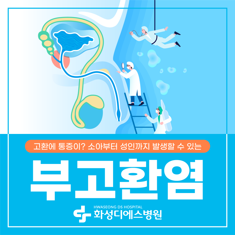 화성남양 비뇨의학과 남성 사타구니 통증 부종 부고환염 원인 증상 치료법은