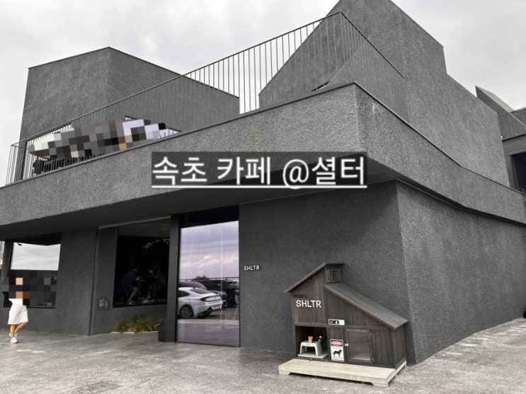  강원도 속초시 카페 셜터 청호동 뷰 좋은 카페